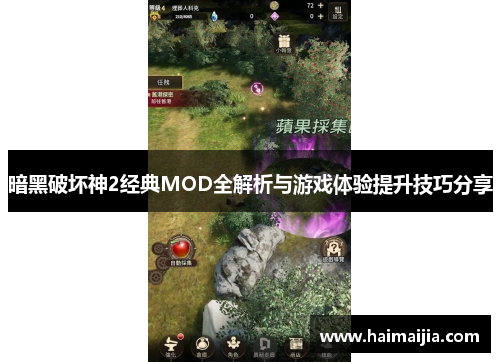 暗黑破坏神2经典MOD全解析与游戏体验提升技巧分享