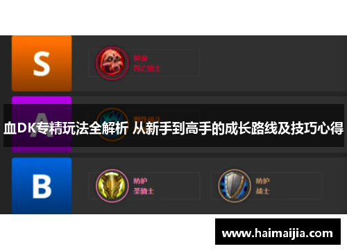 血DK专精玩法全解析 从新手到高手的成长路线及技巧心得
