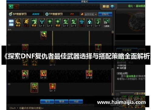 《探索DNF复仇者最佳武器选择与搭配策略全面解析》
