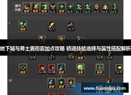 地下城与勇士男街霸加点攻略 精通技能选择与属性搭配解析